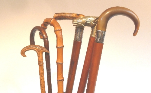 A malacca walking stick with curved horn handle and sundry walking sticks and umbrellas (6)
