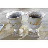 A pair of cast iron vases with lotus leaf type supports, 40.