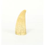 A scrimshaw sperm whale tooth, decorated a three-masted ship, 14.