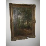 Armstrong? 20th Century Oil on Canvas of woodland scene in gilt frame 66 cm x 44 cm