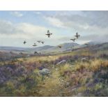 Colin W. Burns (b. 1944)
Driven grouse, Perthshire
signed '-COLIN W BURNS-' (lower left) and