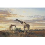 Donald Grant (1924-2001)
Giraffes
signed 'Donald Grant' (lower right)
oil on canvas
24 x 36 in. (