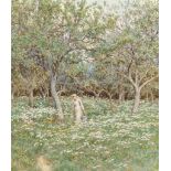 Helen Allingham, R.W.S. (1848-1926)
Woodland flowers
signed 'H. Allingham.' (lower right)
pencil and