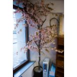 CHERRY BLOSSOM TREE