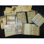 A large quantity of assorted stamps to include 3 half sheets of British birds