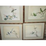 Four 19th century bird prints in later banboo frames