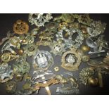 An assortment of military cap badges