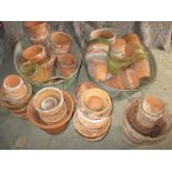 A large quantity of terracotta flowerpots