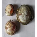 3 Carved shell cameo brooches one in a gold mount