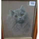 A framed pastel drawing of a Persian cat signed R T Sherborn 1940