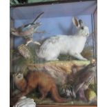 A cased diorama of taxidermy to include an artic hare, a jay, a kestrel and a pole cat