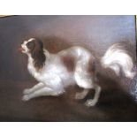 An oil on canvas 'A Favourite Spaniel' in contemporary  Lely pattern frame. Attributed to John