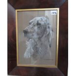 A pastel drawing  of a setter signed  R T Sherborn dated 1940