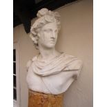 An Antique Italian Marble bust of Apollo Belvedere 18th Century