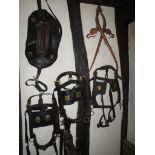 Heavy horse tack