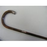 Gentleman's Walking Cane With Silver End & Collar