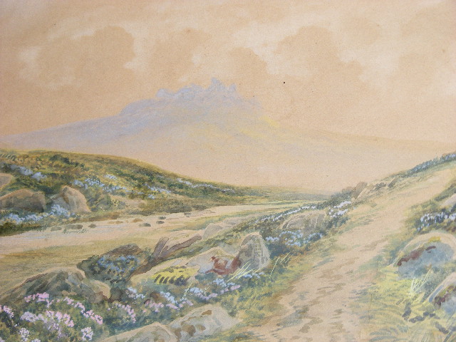 F. Walters - Watercolours, Approx. 48cm X 18cm, Okehampton & Yes Tor