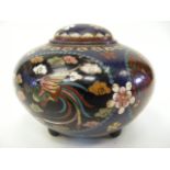 C.1900 Chinese Cloisonne Lidded Pot Decorated With Bird Of Paradise & Butterflies