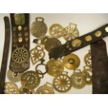 Quantity Of Mostly Early 20thC. Horse Brasses & Leathers
