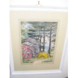 Kohler - Watercolour Of Floral Woodland Scene