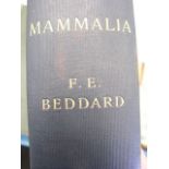 Mammalia - F. E. Beddard 1902