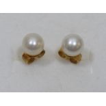 9ct Gold Pearl Ear Rings