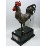 A Large Silver Cockerel Mounted On Wooden Plinth As Trophy Presented By A Princess To A Prince For A