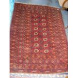 An Antique Tekke Turkoman Rug