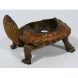 C.1900 Taxidermied Terrapin