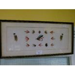 Mid 20th Century mounted display of fishing flies, framed together with a two-piece split cane