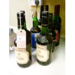 Wines and spirits - Nine various bottles of Sherry