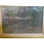 Late 19th/early 20th Century oil on canvas depicting woodland scene, indistinctly signed H.