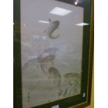 Early 20th Century Japanese watercolour - Koi Carp in a pool, framed and glazed