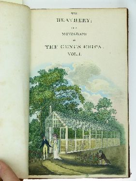 Henry C. Andrews - The Heathery;Or A Monograph Of The Genus Erica, printed by Richard Taylor 1804- - Image 5 of 6