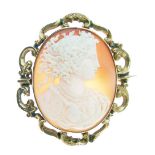 Victorian shell cameo brooch, carved as a classical female in profile, within a gold scroll border