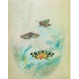 Albert Durer Lucas (1828-1918) - Gouache - Three depictions of a cream spot tiger moth, male, signed