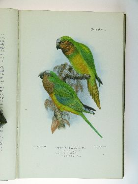 David Seth-Smith - Parrakeets, A Handbook To The Imported Species, published by Bernard Quaritch, - Image 5 of 5
