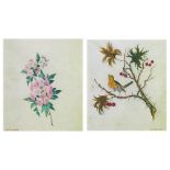 Eloise H Stannard (1828-1915) - Pair of watercolours - Holly branch with robin and blossom,