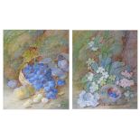 Vincent Clare (1855-1925) - Pair of watercolours - Still-life with wild flowers and birds nest and