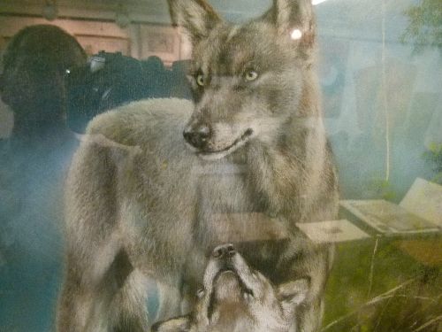 Joel Kirk (b.1948) - Pastel - Landscape with wolves, signed, 43cm x 58cm A.R.  Condition: ** - Image 4 of 4