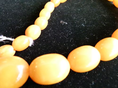 Row of graduated amber beads, the forty-three barrel shaped beads, 1.3cm to 2.8cm long, overall - Image 7 of 7