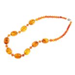 Row of amber beads, the back piece of thirty slightly flattened round beads to a frontispiece of