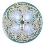 Lalique 'Coquilles' opalescent blue glass plate, 26.5cm diameter  Condition: Four small areas of