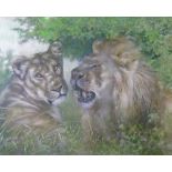 Joel Kirk (b.1948) - Pastel - Study of a lion and lioness, signed, 44cm x 54cm A.R.  Condition: **