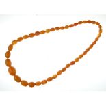 Row of graduated amber beads, the forty-three barrel shaped beads, 1.3cm to 2.8cm long, overall