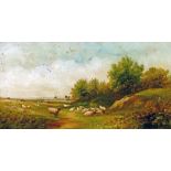 Henry Harris (1852-1926) - Oil on canvas - Landscape with sheep, signed, 19cm x 36cm  Condition:
