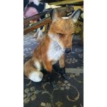 A full size fibreglass model of a Fox.