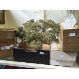 A collection of 0 Gauge Kit Built Trees and materials for further tree making.