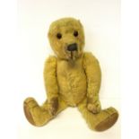 Mohair Teddy Bear with elongated snout, stitched nose and claws, glass eyes, small hump to back,