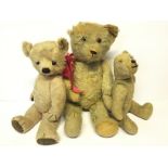 Three Teddy Bears, the largest straw-filled with small hump to back, elongated snout,